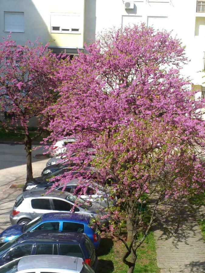 Apartman Simple Mostar Eksteriør billede